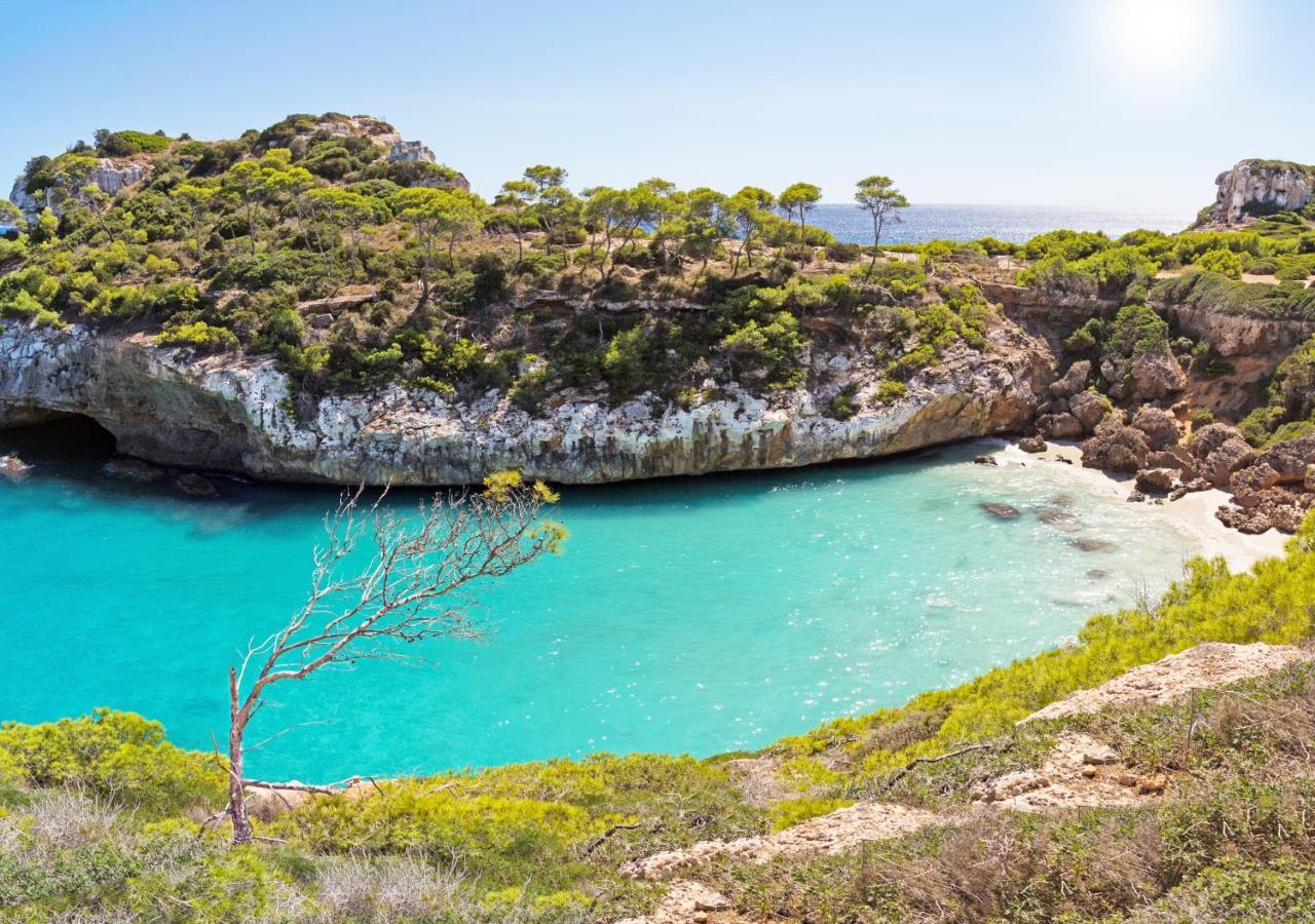 Marblau Mallorca Cala Figuera  Extérieur photo